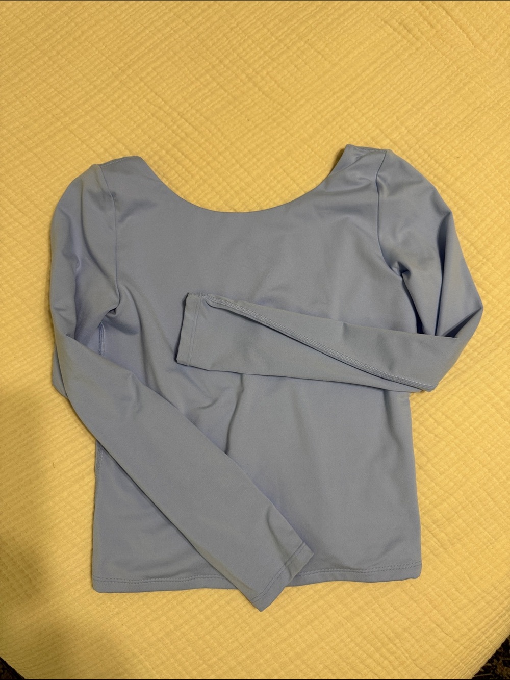 Aerie Open Back Scoop Neck Long Sleeve Top - Light Blue